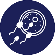 Inteligo Technologies